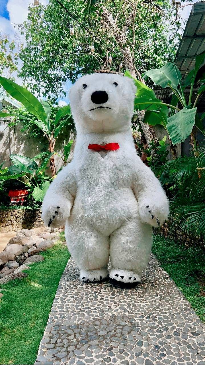 Bear mascot